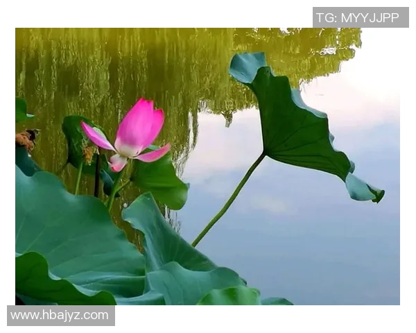 以古诗咏足坛英豪品球星风骨赏诗意人生 以古诗咏足坛英豪品球星风骨赏诗意人生